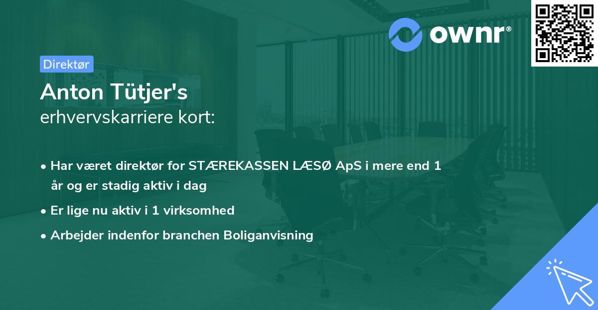 Anton Tütjer's erhvervskarriere kort