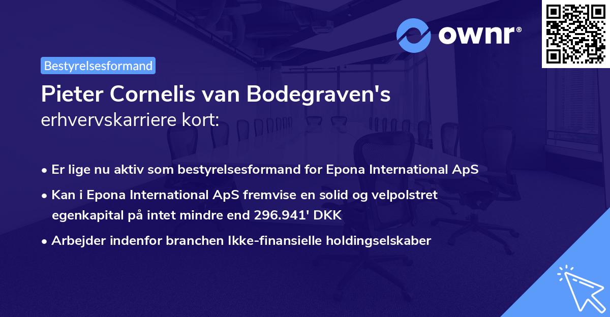 Pieter Cornelis van Bodegraven's erhvervskarriere kort