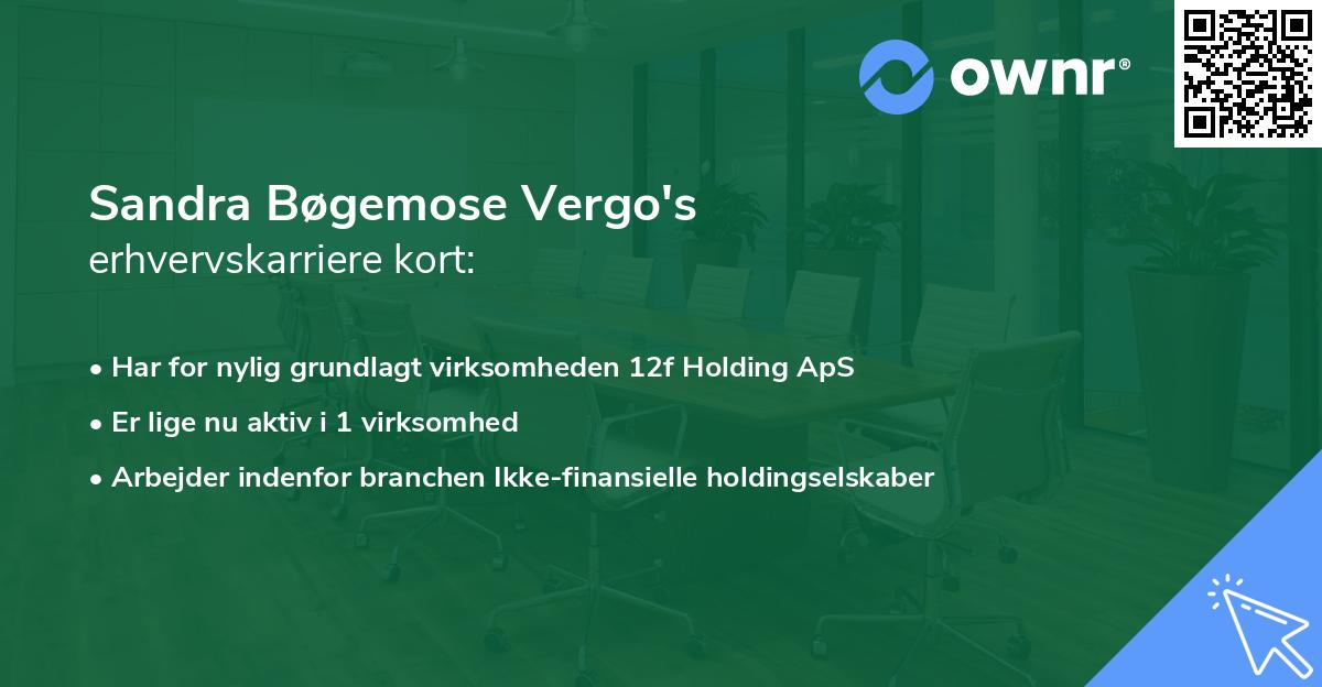 Sandra Bøgemose Vergo's erhvervskarriere kort