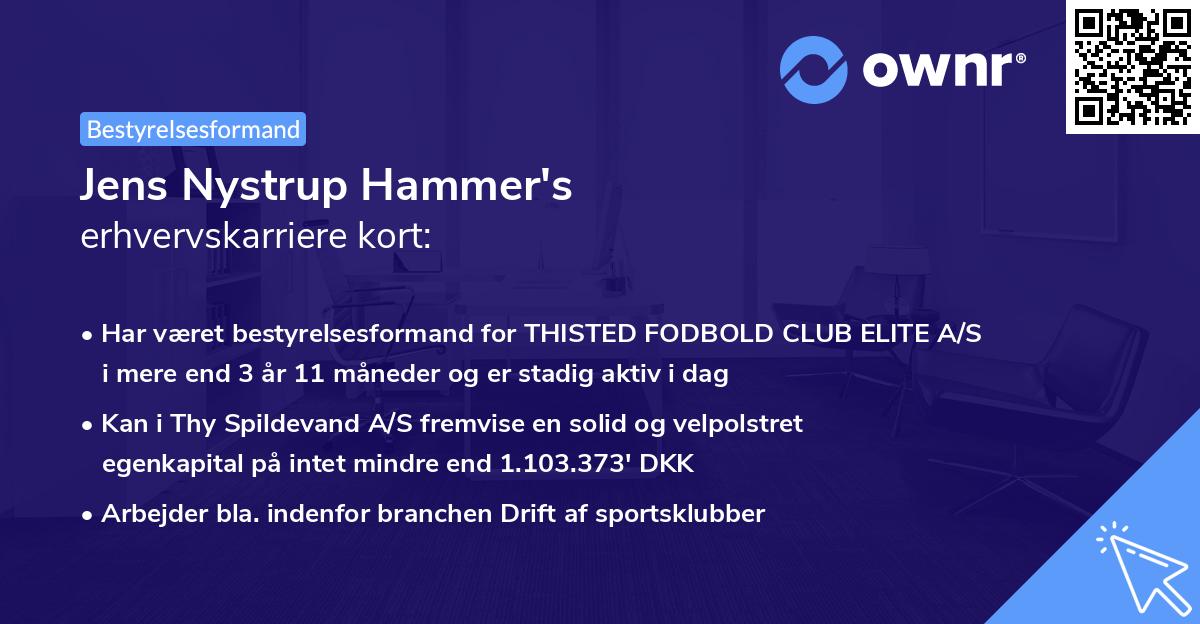 Jens Nystrup Hammer's erhvervskarriere kort