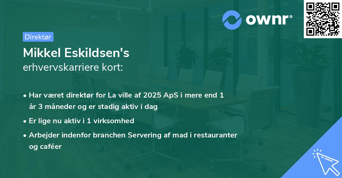 Mikkel Eskildsen's erhvervskarriere kort