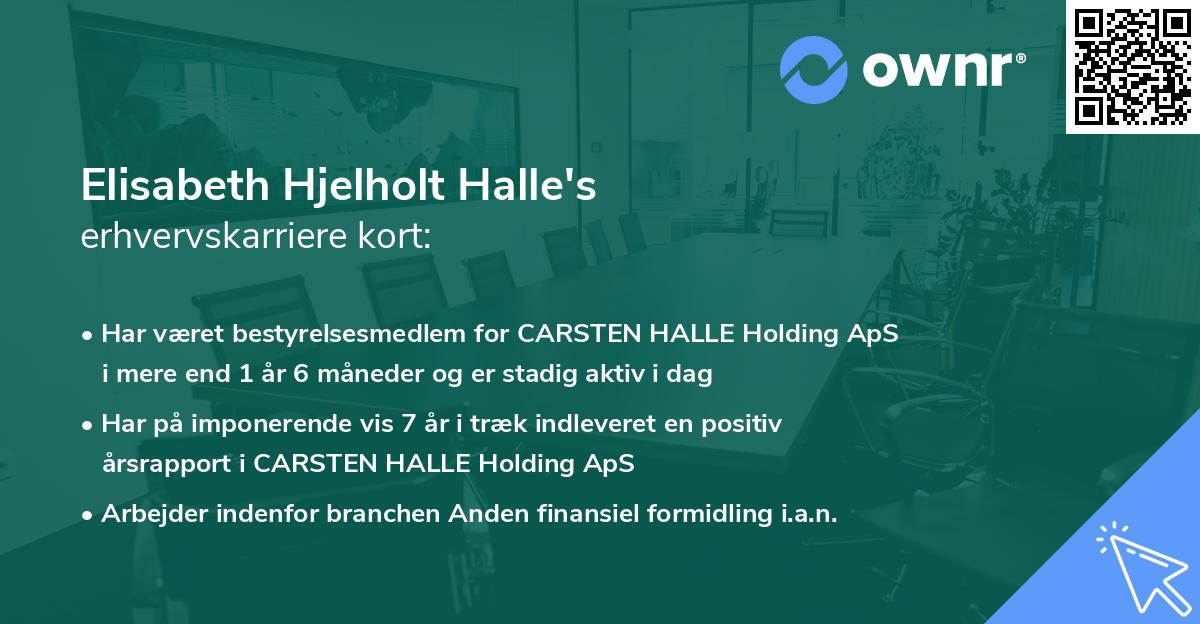 Elisabeth Hjelholt Halle's erhvervskarriere kort
