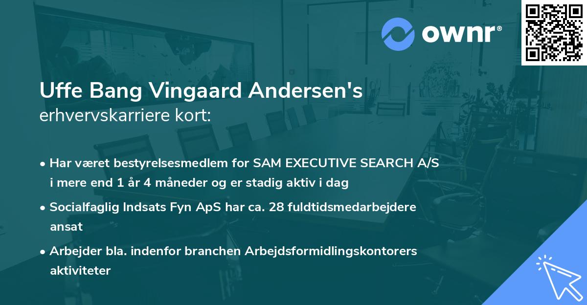 Uffe Bang Vingaard Andersen's erhvervskarriere kort