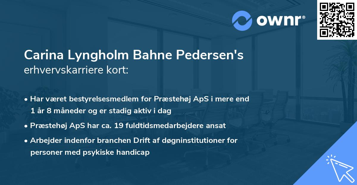 Carina Lyngholm Bahne Pedersen's erhvervskarriere kort