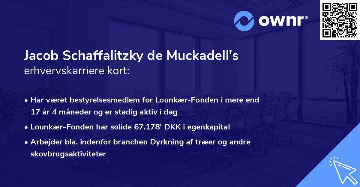 Jacob Schaffalitzky de Muckadell's erhvervskarriere kort