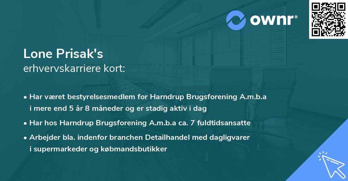 Lone Prisak's erhvervskarriere kort