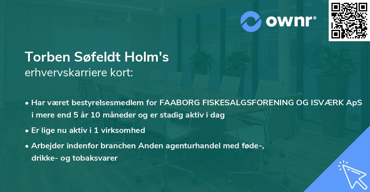 Torben Søfeldt Holm's erhvervskarriere kort