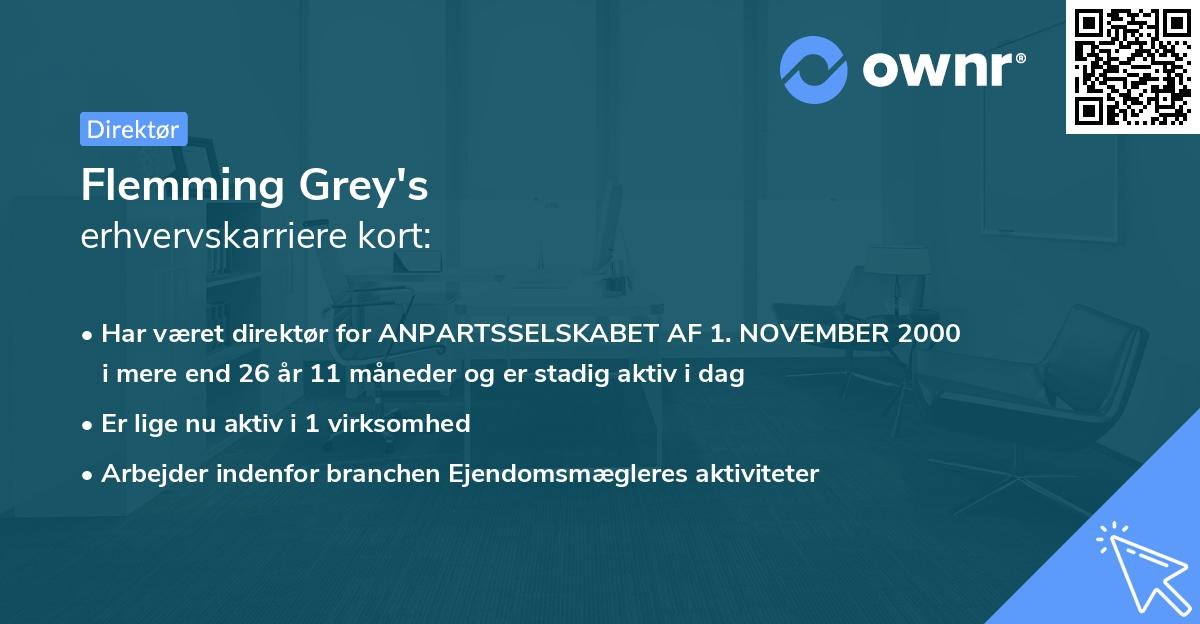 Flemming Grey's erhvervskarriere kort
