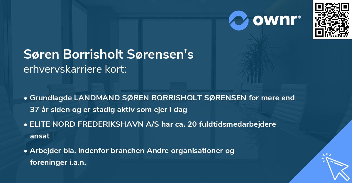 Søren Borrisholt Sørensen's erhvervskarriere kort