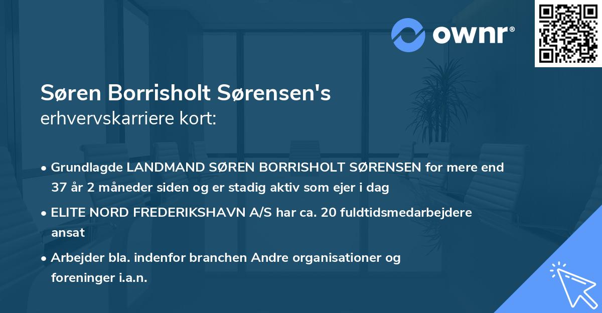 Søren Borrisholt Sørensen's erhvervskarriere kort