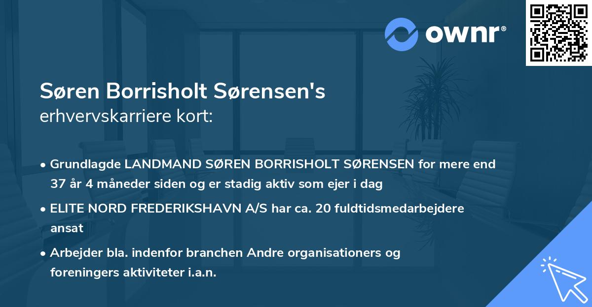 Søren Borrisholt Sørensen's erhvervskarriere kort