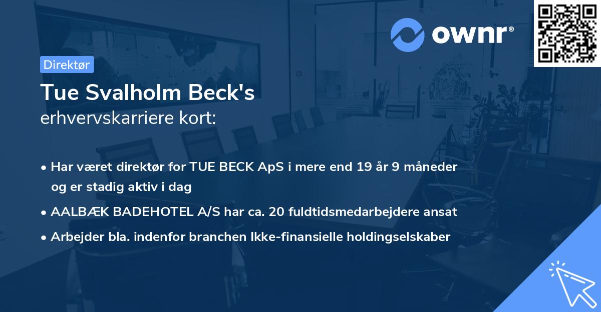 Tue Svalholm Beck's erhvervskarriere kort
