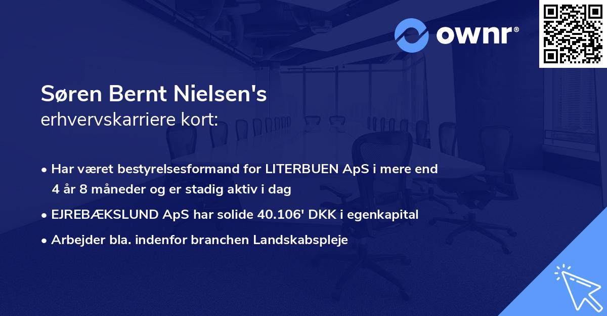 Søren Bernt Nielsen's erhvervskarriere kort