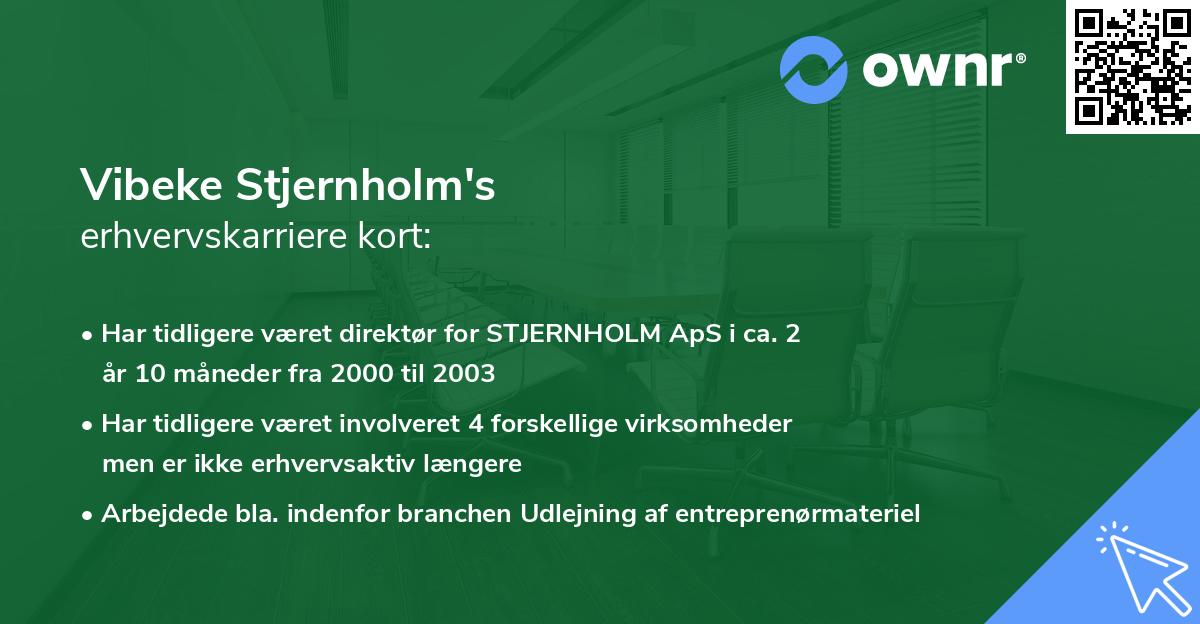 Vibeke Stjernholm's erhvervskarriere kort