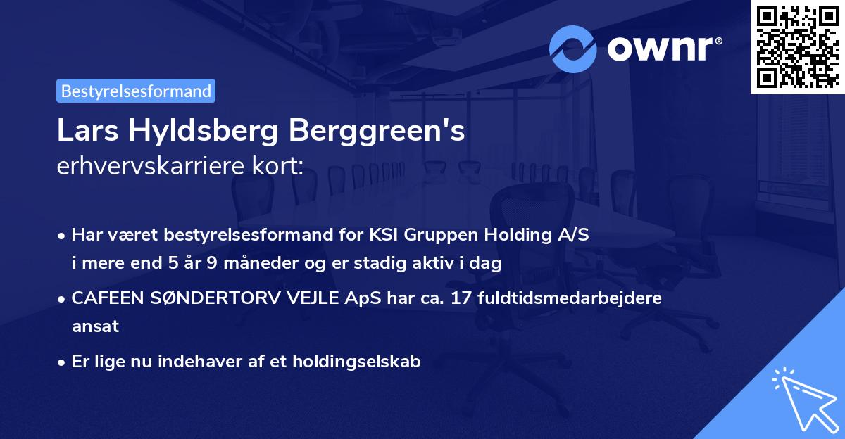 Lars Hyldsberg Berggreen's erhvervskarriere kort