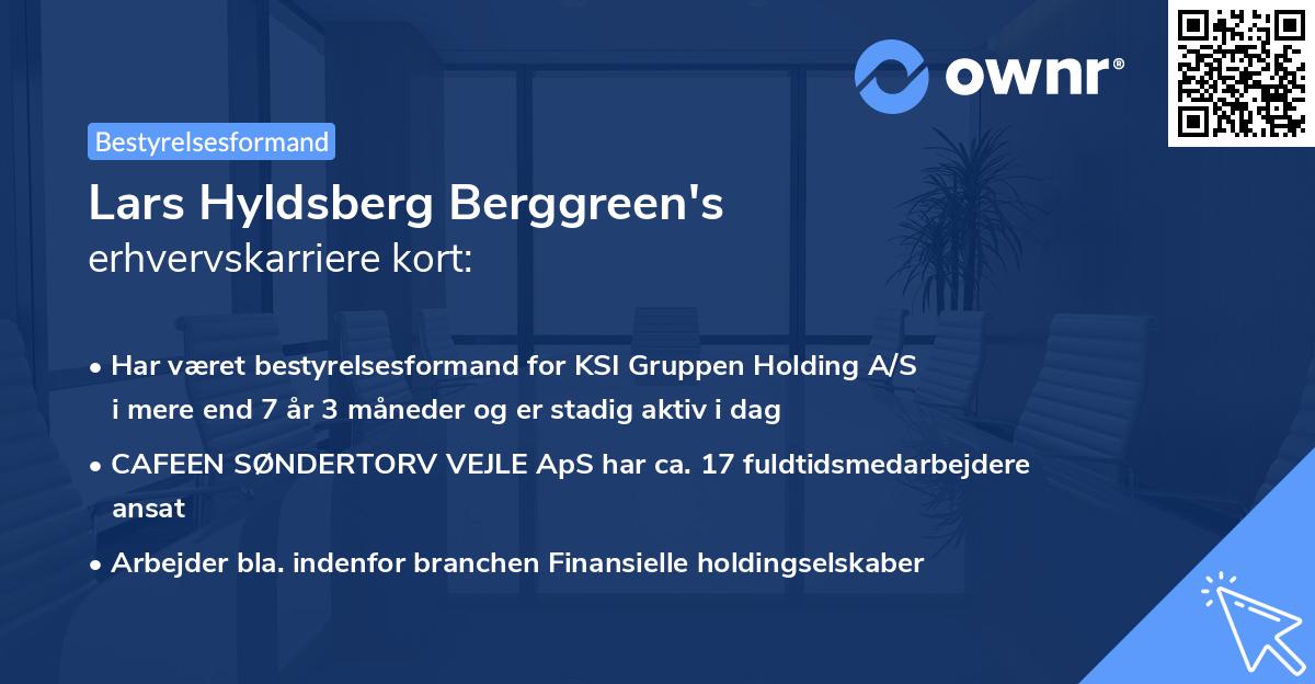 Lars Hyldsberg Berggreen's erhvervskarriere kort