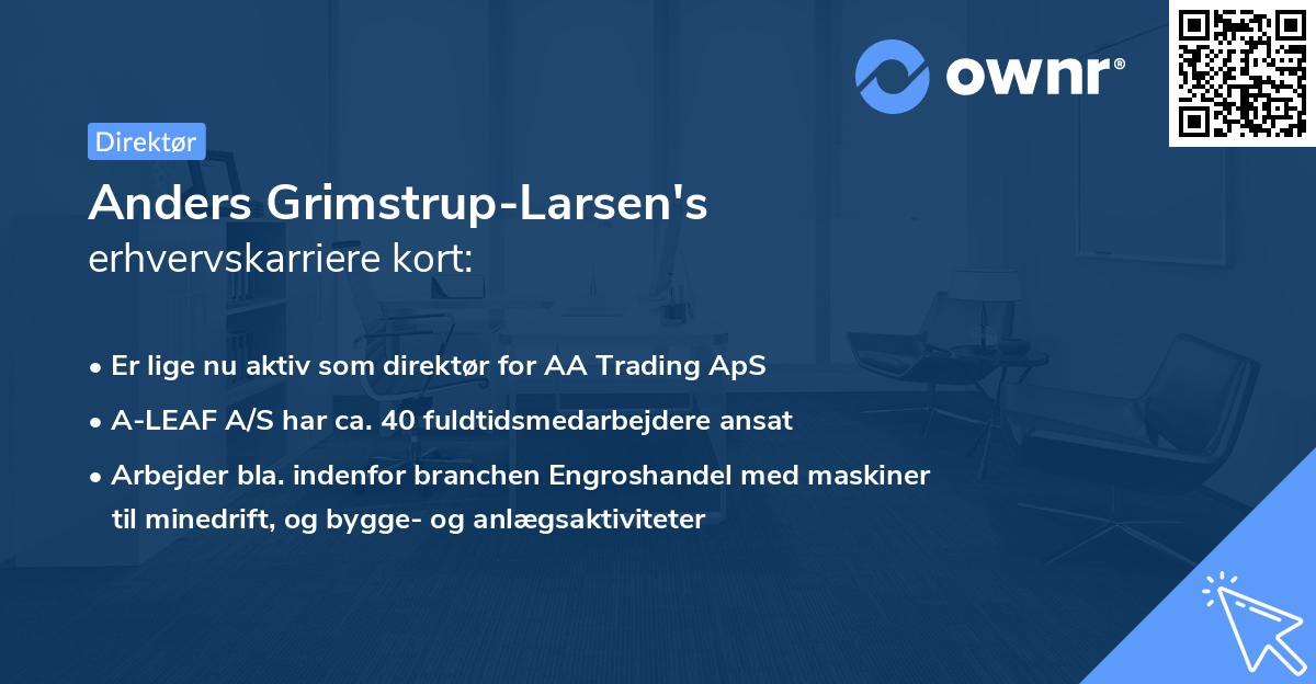 Anders Grimstrup-Larsen's erhvervskarriere kort