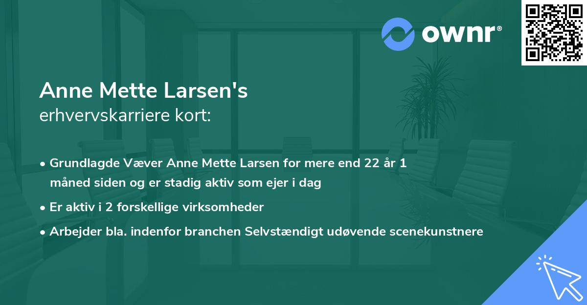 Anne Mette Larsen's erhvervskarriere kort