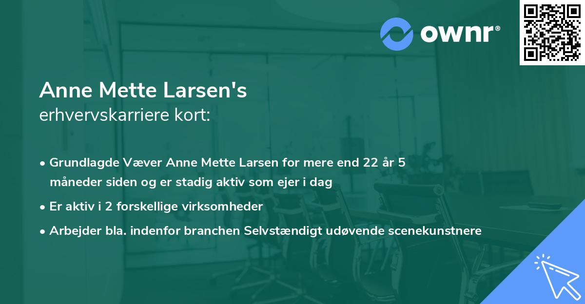 Anne Mette Larsen's erhvervskarriere kort