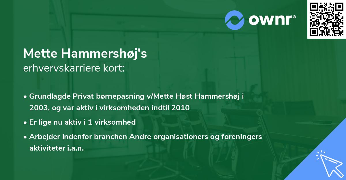 Mette Hammershøj's erhvervskarriere kort
