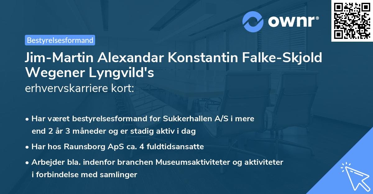 Jim-Martin Alexandar Konstantin Falke-Skjold Wegener Lyngvild's erhvervskarriere kort