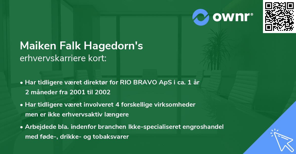 Maiken Falk Hagedorn's erhvervskarriere kort
