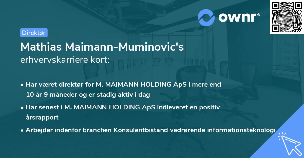 Mathias Maimann-Muminovic's erhvervskarriere kort