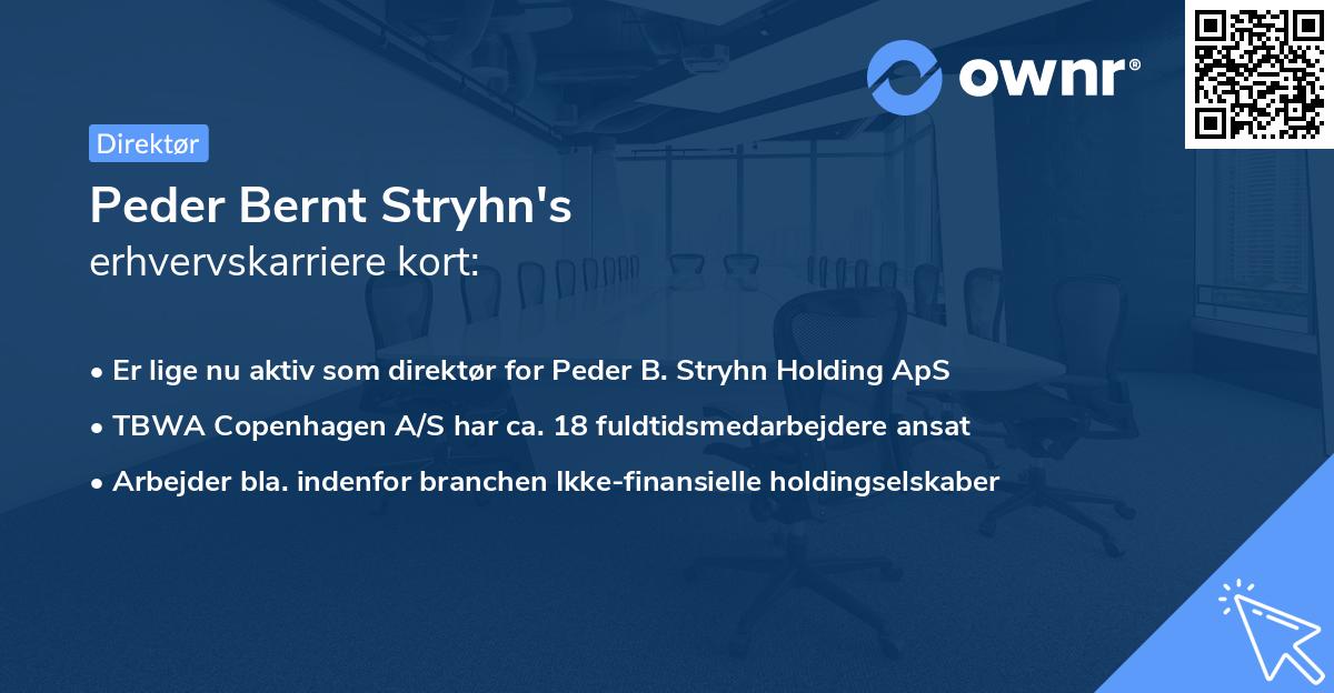 Peder Bernt Stryhn's erhvervskarriere kort