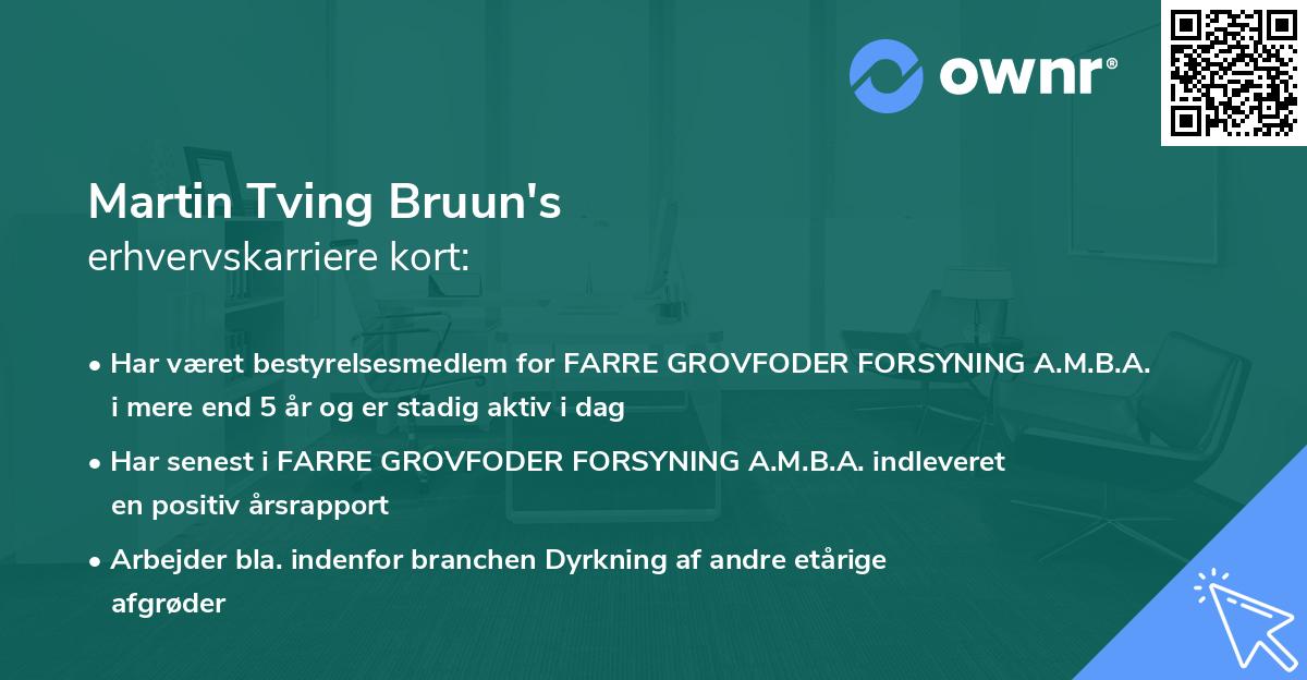 Martin Tving Bruun's erhvervskarriere kort
