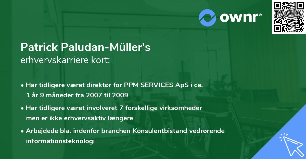 Patrick Paludan-Müller's erhvervskarriere kort