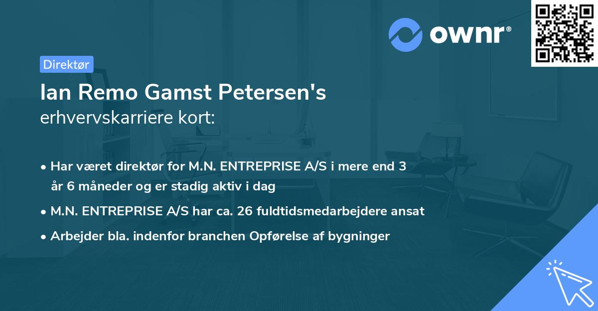 Ian Remo Gamst Petersen's erhvervskarriere kort