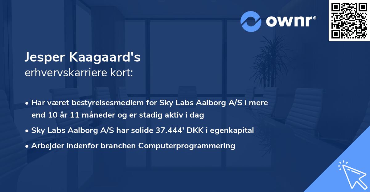 Jesper Kaagaard's erhvervskarriere kort