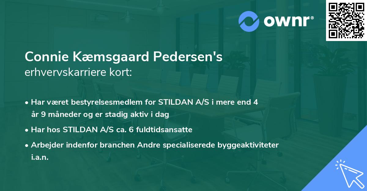 Connie Kæmsgaard Pedersen's erhvervskarriere kort