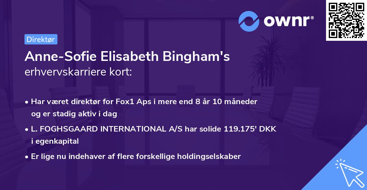 Anne-Sofie Elisabeth Bingham's erhvervskarriere kort