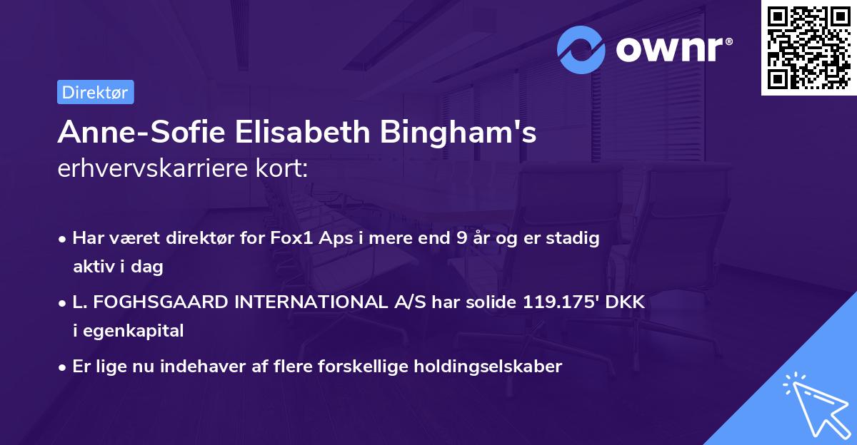 Anne-Sofie Elisabeth Bingham's erhvervskarriere kort