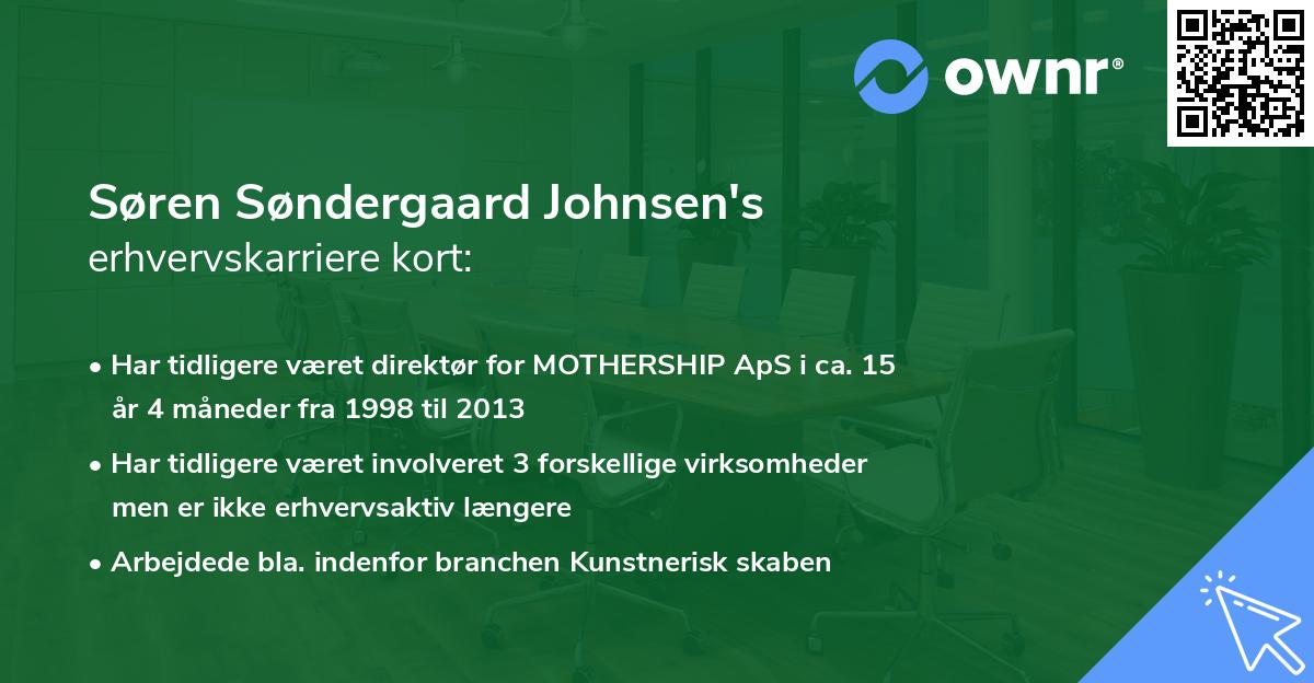 Søren Søndergaard Johnsen's erhvervskarriere kort