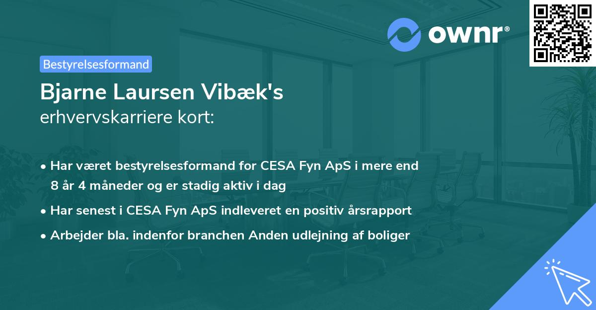 Bjarne Laursen Vibæk's erhvervskarriere kort