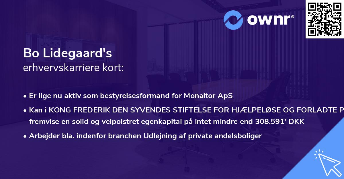 Bo Lidegaard's erhvervskarriere kort