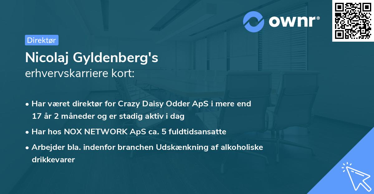 Nicolaj Gyldenberg's erhvervskarriere kort