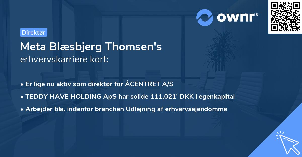Meta Blæsbjerg Thomsen's erhvervskarriere kort
