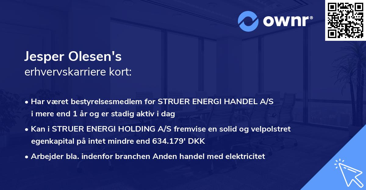 Jesper Olesen's erhvervskarriere kort