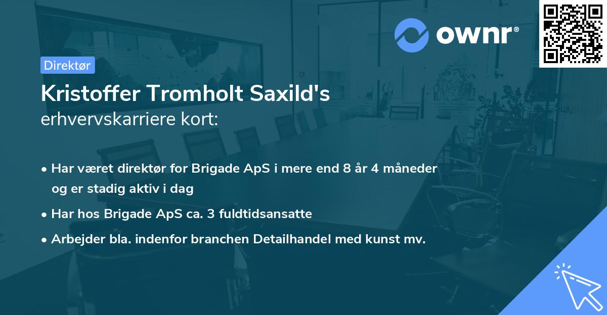 Kristoffer Tromholt Saxild's erhvervskarriere kort