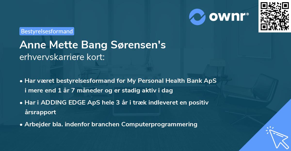 Anne Mette Bang Sørensen's erhvervskarriere kort