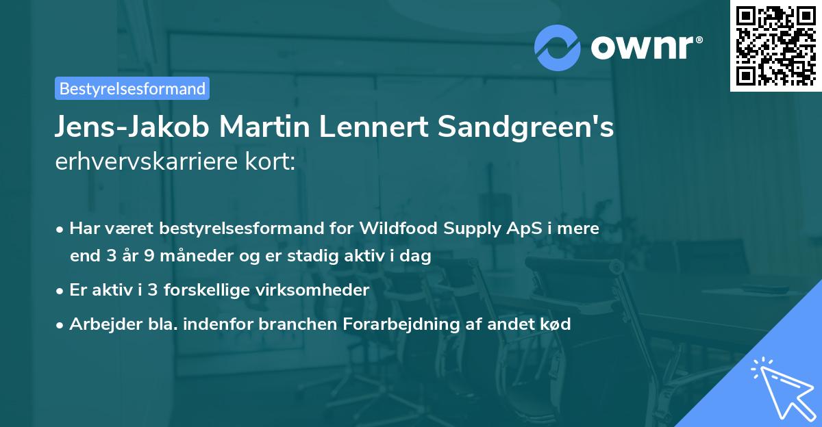 Jens-Jakob Martin Lennert Sandgreen's erhvervskarriere kort