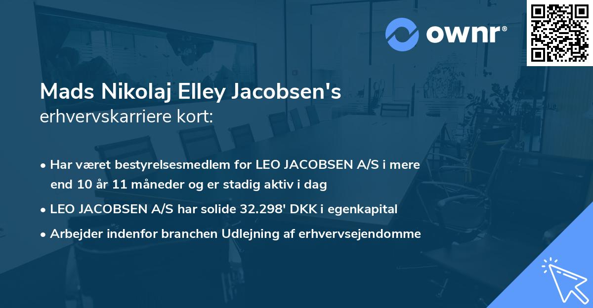 Mads Nikolaj Elley Jacobsen's erhvervskarriere kort