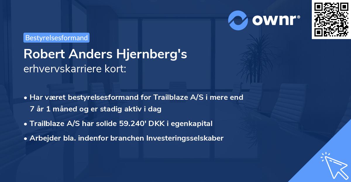 Robert Anders Hjernberg's erhvervskarriere kort