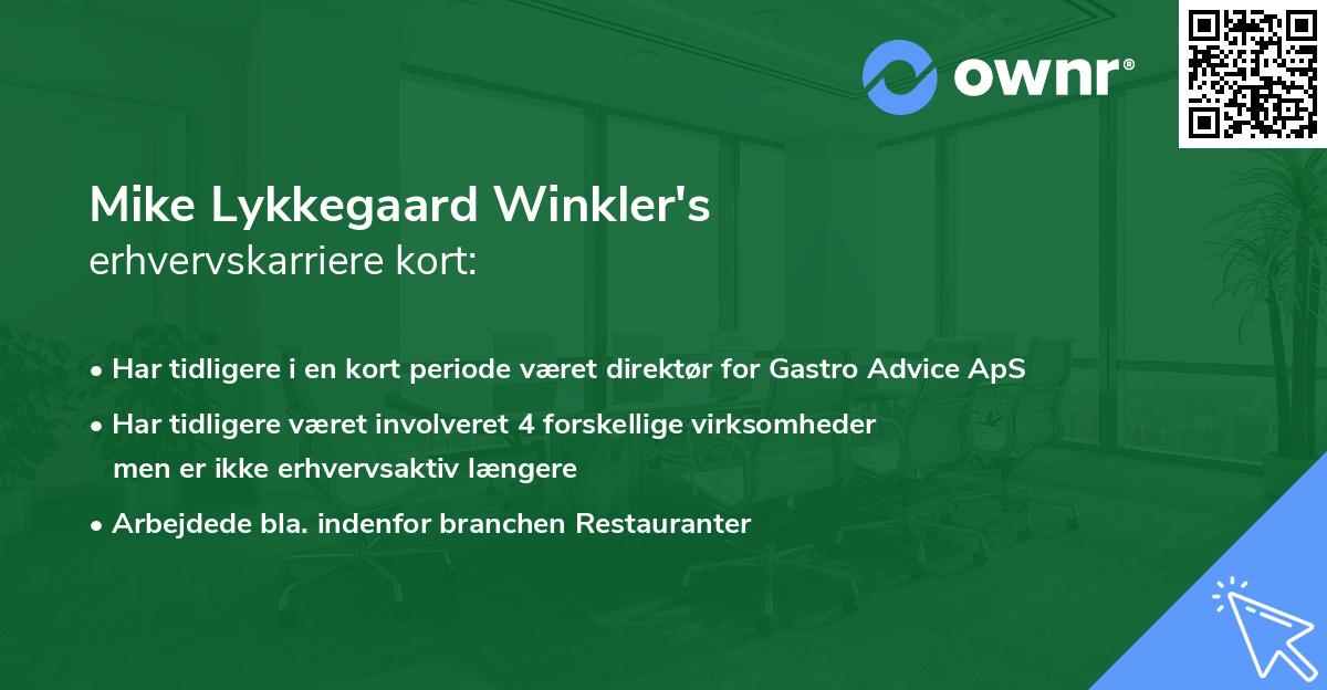 Mike Lykkegaard Winkler's erhvervskarriere kort