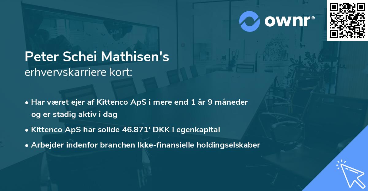 Peter Schei Mathisen's erhvervskarriere kort
