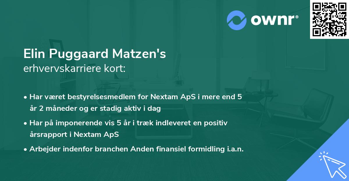 Elin Puggaard Matzen's erhvervskarriere kort