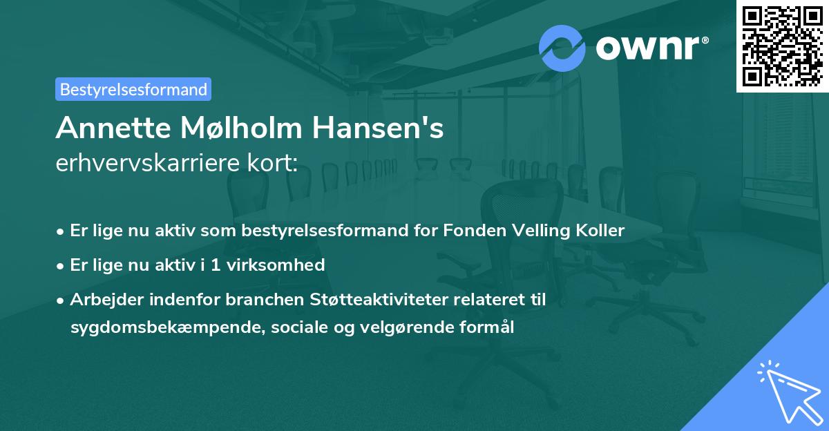 Annette Mølholm Hansen's erhvervskarriere kort